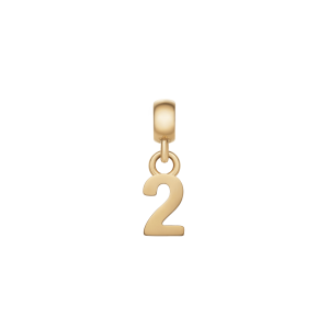 Daniel Wellington DW Charm Number 2 Gold