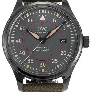 IWC Pilots Classic Herrklocka IW324702 Grå/Textil Ø41 mm