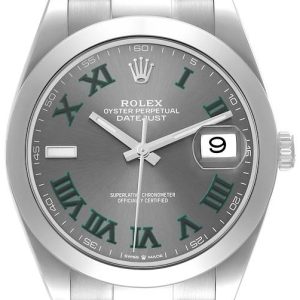 Rolex Herrklocka 126300-0013 Datejust 41 Wimbledon Grå/Stål Ø41 mm