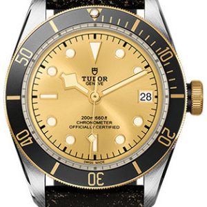 Tudor Herrklocka M79733N-0003 Black Bay Gulguldstonad/Läder Ø41 mm