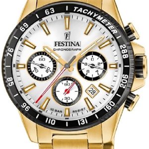 Festina Herrklocka F20634-1 Timeless Silverfärgad/Gulguldtonat stål