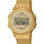 casio vintage 36.5mm