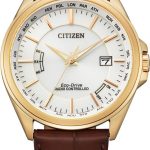 citizen cb0253-19a