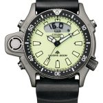 citizen promaster
