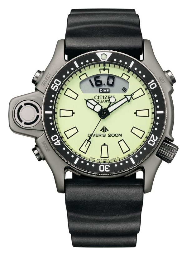 citizen promaster