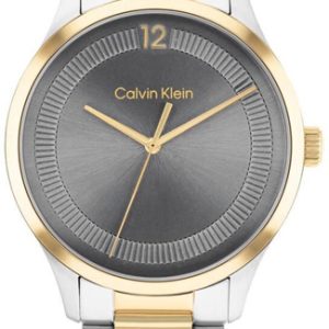 Calvin Klein 25200226 Classic Grå/Stål Ø40 mm