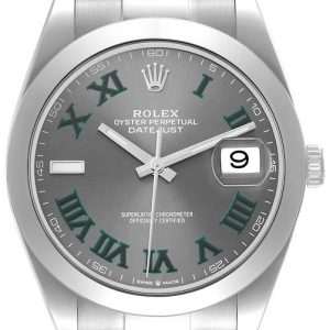 Rolex Herrklocka 126300-0013 Datejust 41 Wimbledon Grå/Stål ⌀41 mm