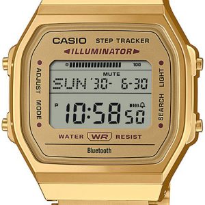 Casio ABL-100WEG-9AEF Vintage LCD/Gulguldtonat stål