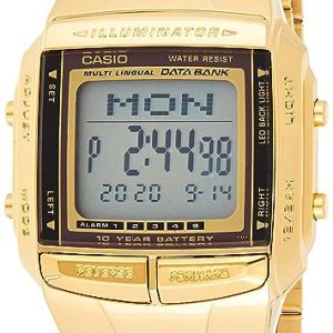 Casio DB-360G-9ADF Vintage LCD/Gulguldtonat stål