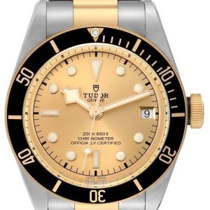 Tudor Herrklocka M79733N-0004 Black Bay Guld/Gulguldtonat stål Ø41