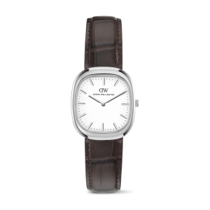 Silver 30mm Watch Cort Brown Leather